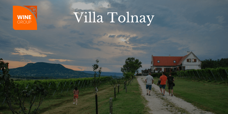 villatolnay_webshop villatolnay_webshop