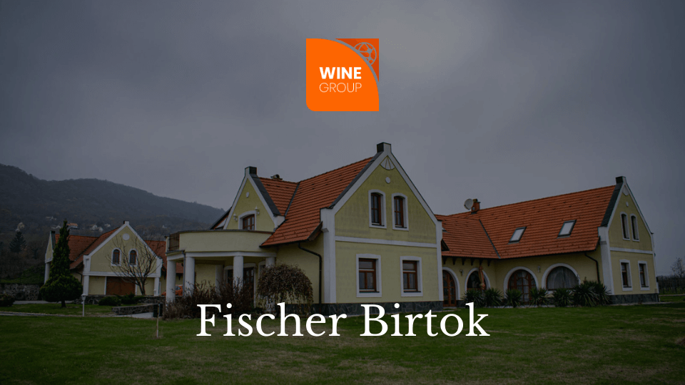 fischer_wineshop_blog