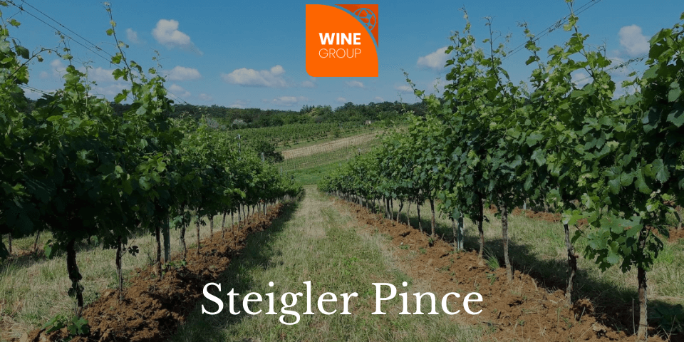 steigler_winegroup_blog steigler_winegroup_blog