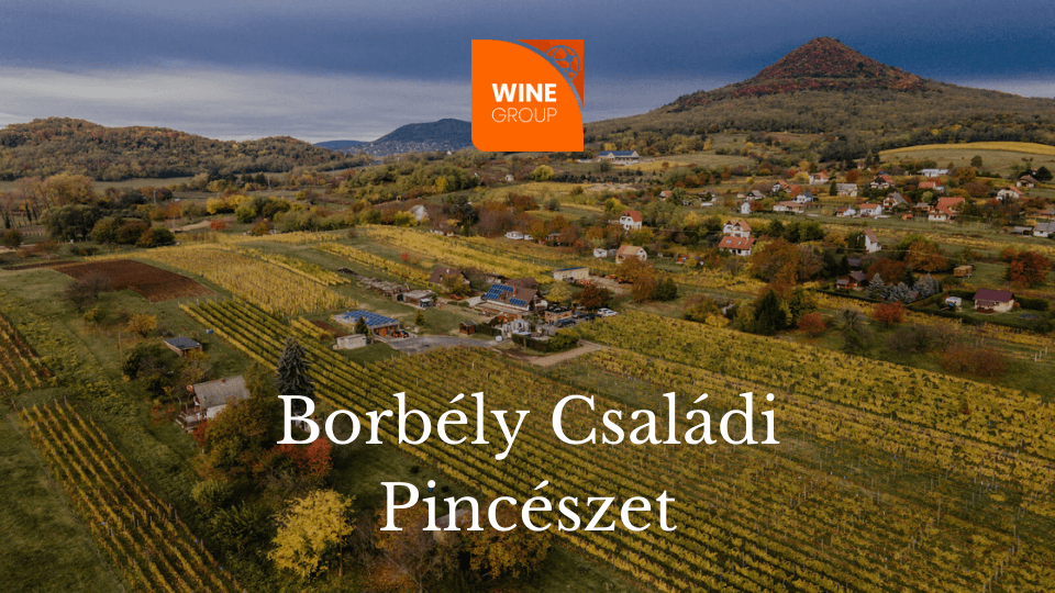 borbély_winegroup_blog