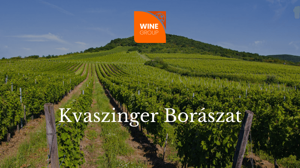 kvaszinger_winegroup_blog kvaszinger_winegroup_blog
