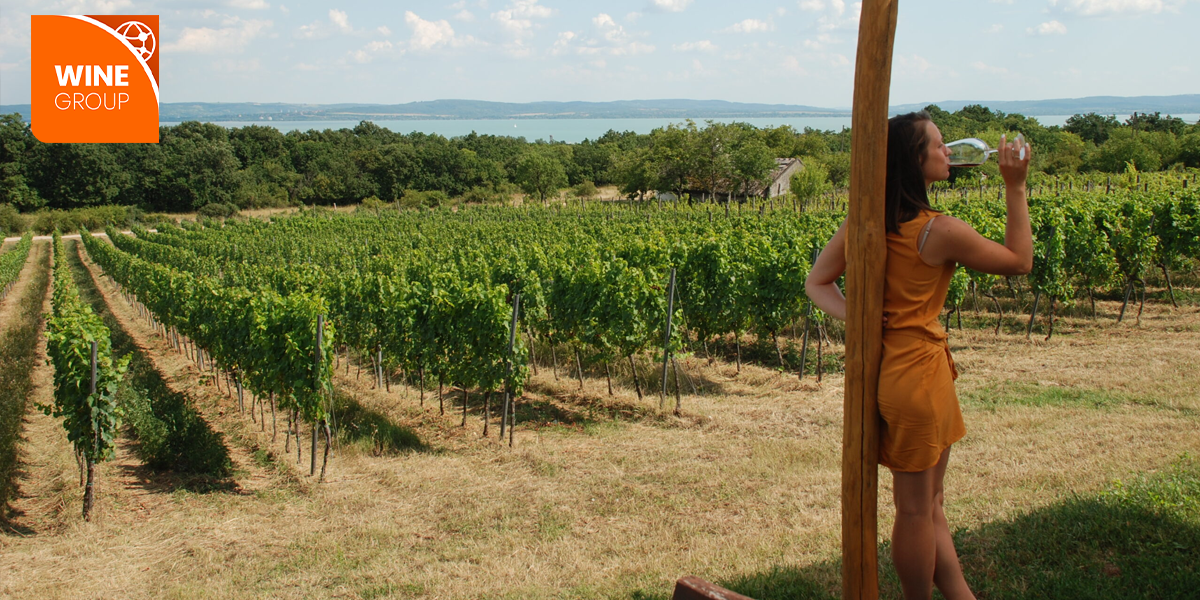 Zsani borozik a Skrabski pincészetnél