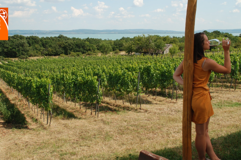 Zsani borozik a Skrabski pincészetnél