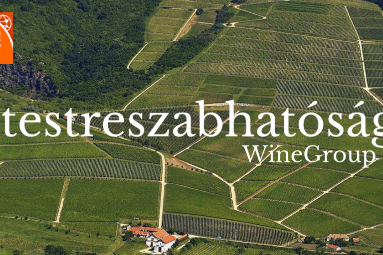 winegroup-testreszabhatosag