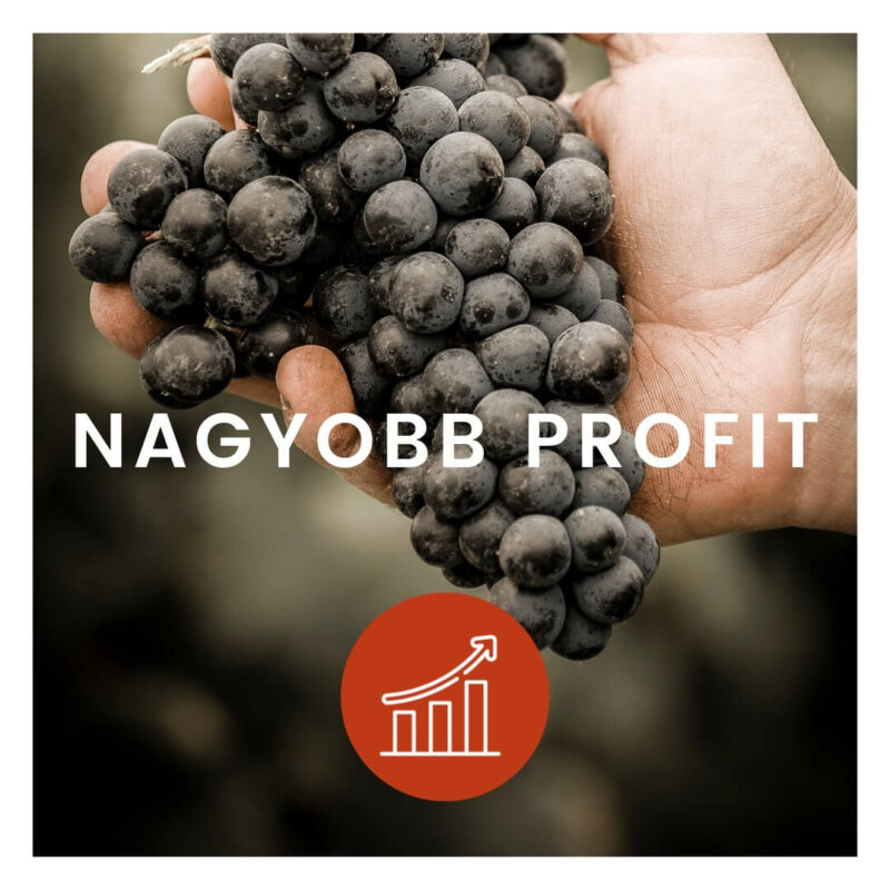 Nagyobb profit a WineGrouppal