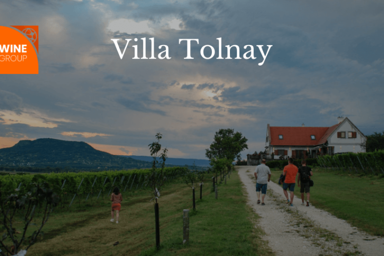 villatolnay_webshop