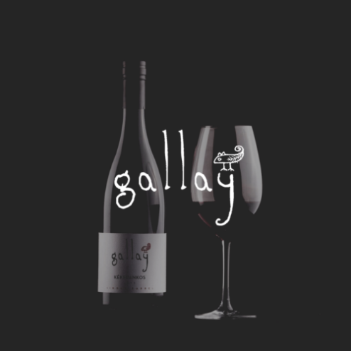 Gallay – WineGroup Webáruház