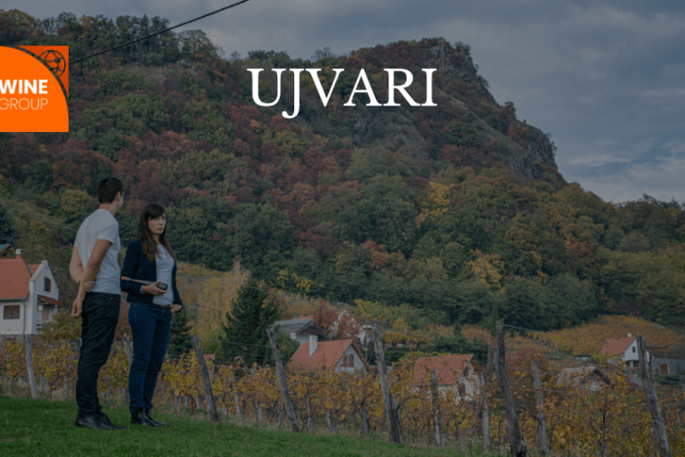 Ujvari webshop blogcover-15