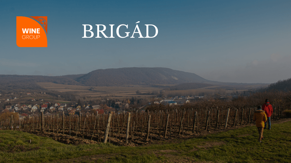 brigád_wineshop_blog