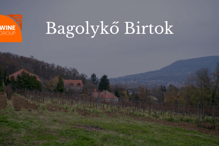 winegroup_bagolyko_blog