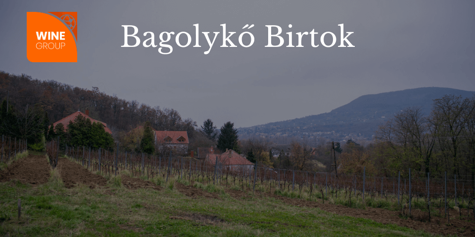winegroup_bagolyko_blog