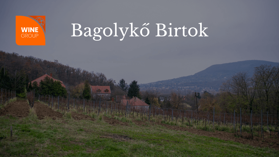 winegroup_bagolyko_blog winegroup_bagolyko_blog