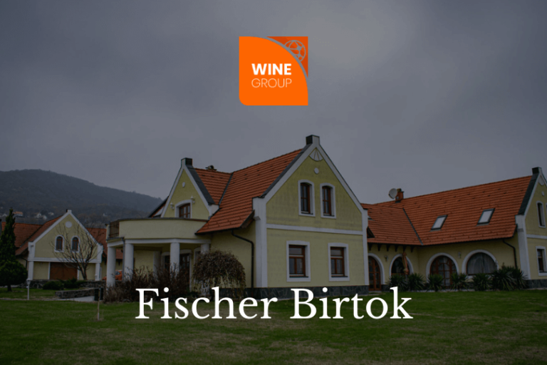 fischer_wineshop_blog