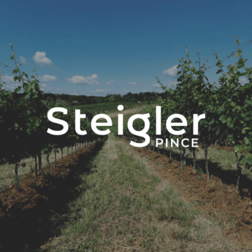 Steigler Pince - WineGroup webáruház