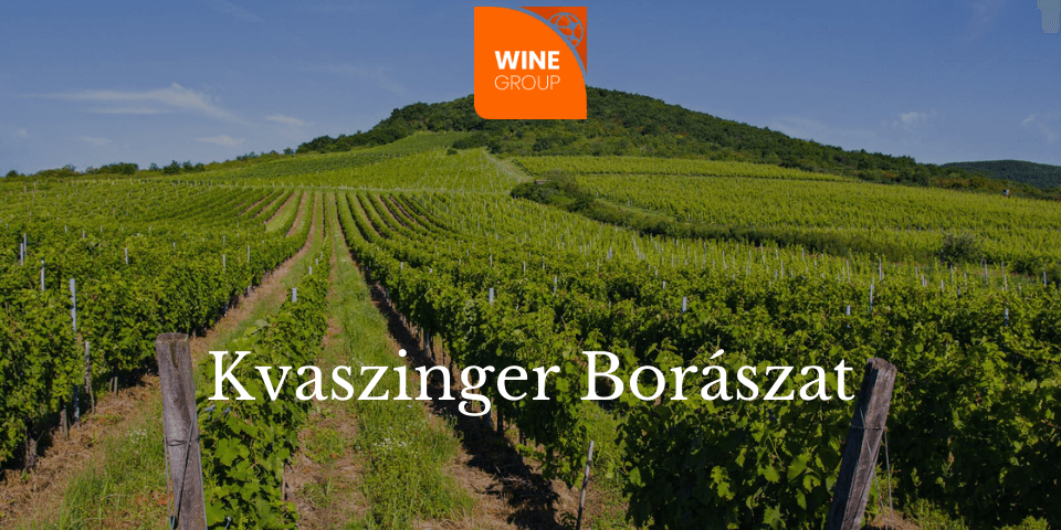 kvaszinger_winegroup_blog