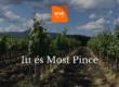 ittesmost_winegroup_blog