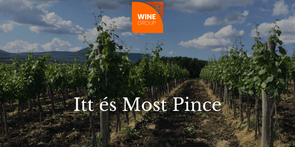 ittesmost_winegroup_blog