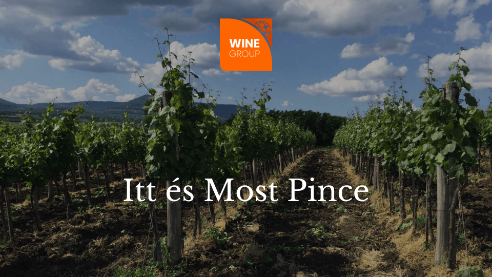 ittesmost_winegroup_blog