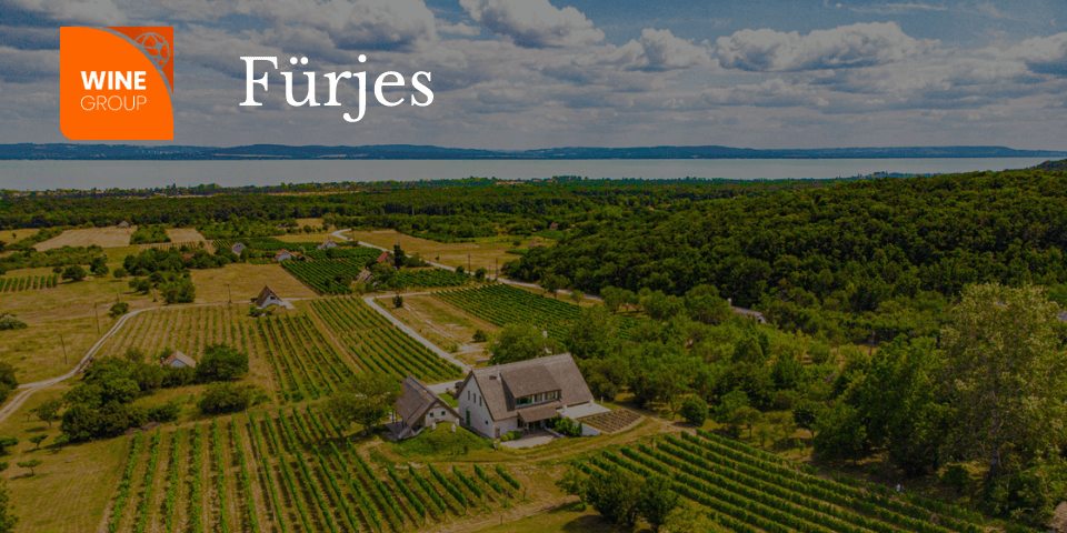 fürjes_wineshop_blog