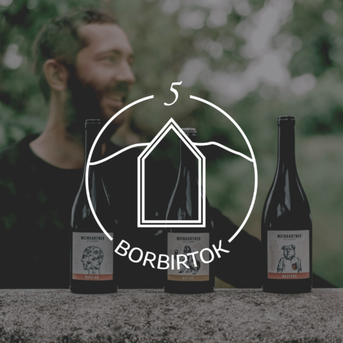 5 Ház Borbirtok - WineGroup webáruház